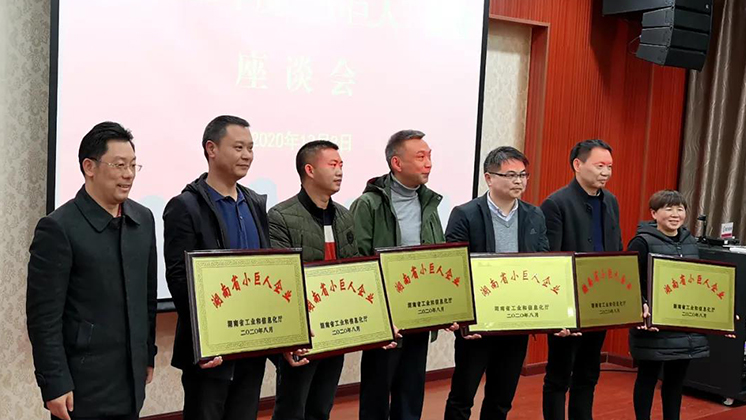 喜大普奔！炬神電子被評為湖南省“小巨人”企業(yè)